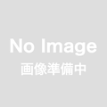 【車椅子修理補修部品】　SY・BKシリーズ用ノーパンク（ハイポリマー）タイヤ付車輪各種　【SY16,SY22,BK16,BK22専用】［まとめ割引対象］