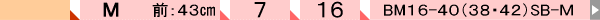 BM-09
