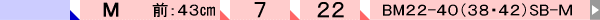 BM-01